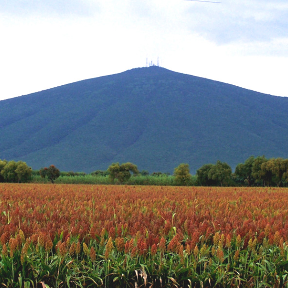 Cerro Culiacán